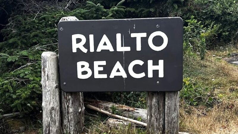 Rialto Beach Travel Guide: Tide Pools, Starfish, and the Famous Hole in theWall