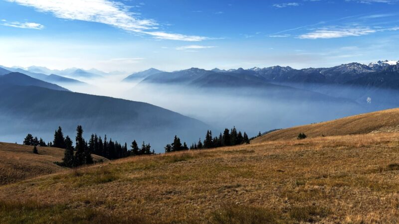 Olympic National Park in 3 Days: A Complete Itinerary