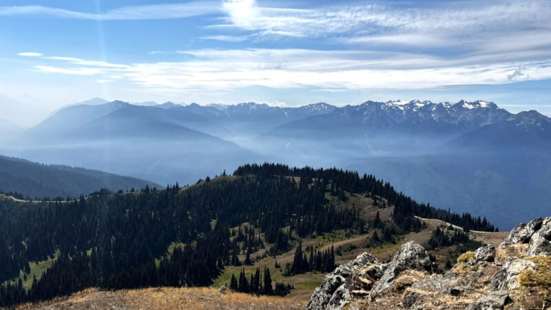 Hurricane Ridge Guide: Easy Mountain Views in Olympic National Park