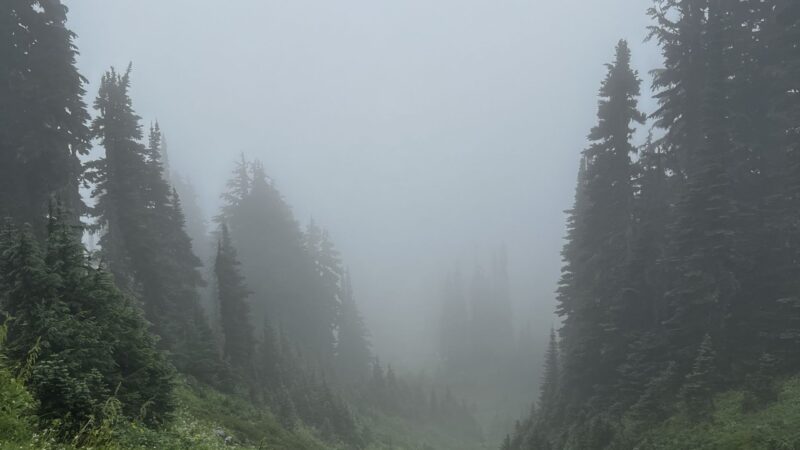 Mount Rainier Skyline Trail: Views Not Guaranteed