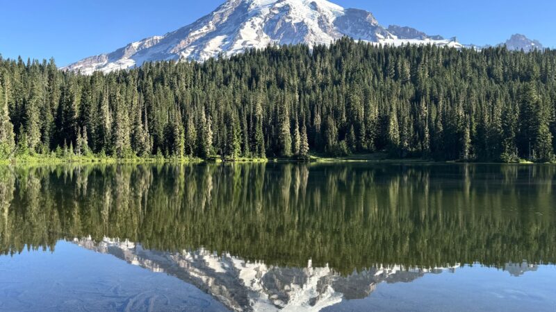 Mount Rainier National Park: One Day Itinerary and Travel Guide